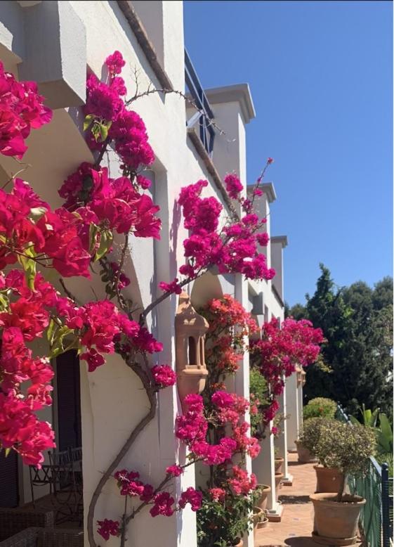 Boutique Hotel Maravilla - Marbella Benahavís Exterior photo