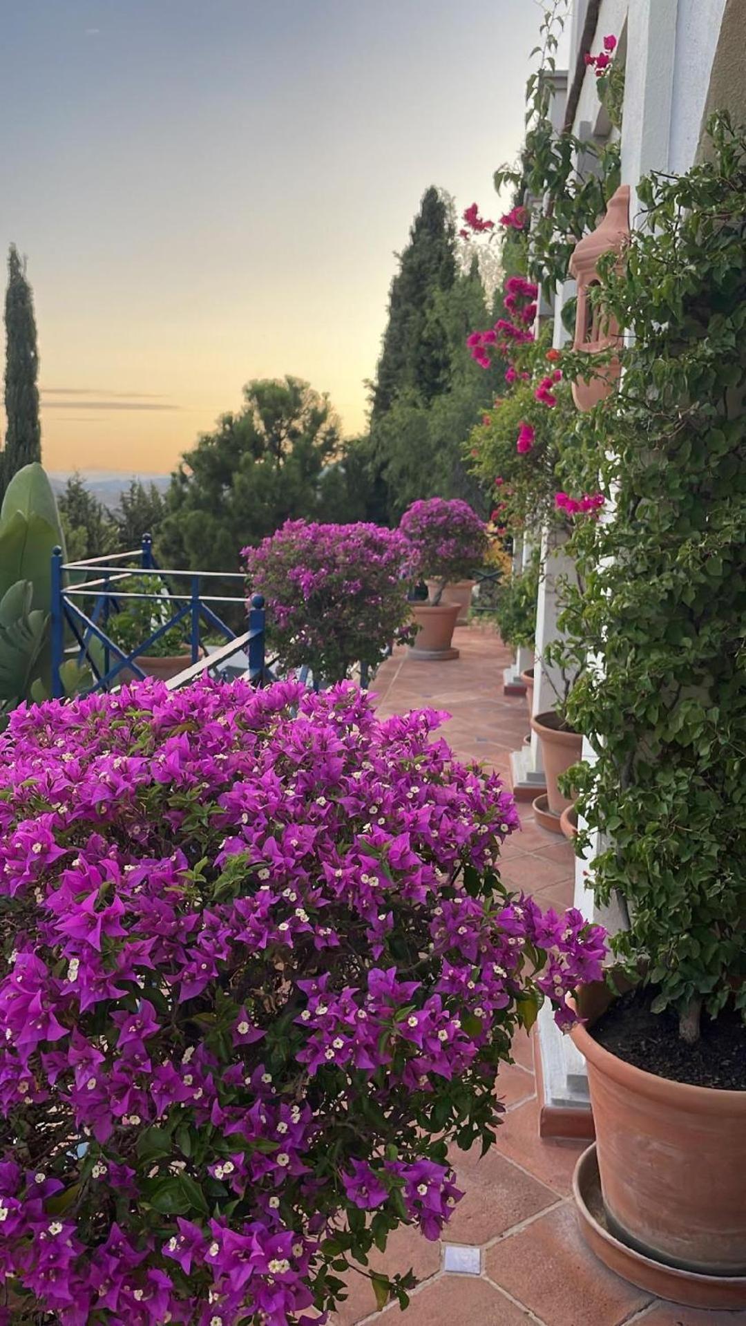 Boutique Hotel Maravilla - Marbella Benahavís Exterior photo